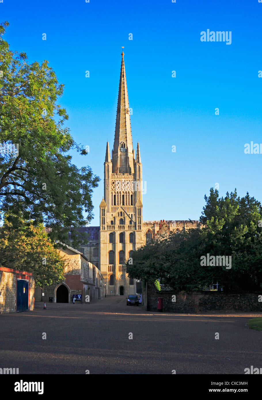 An early morning view of the Cathedral tower and spire from Lower Close