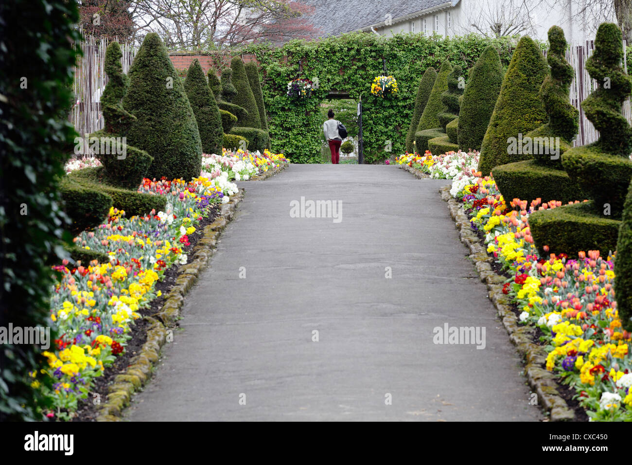 A path through bedding plants in the Walled Garden in Bellahouston Park