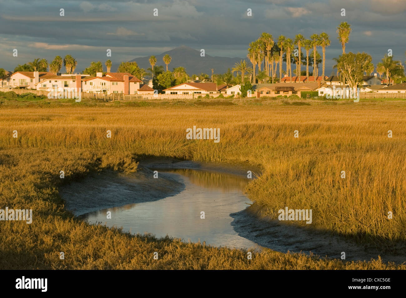 Houses alongside Tijuana River Estuary, San Diego area, California Stock Photo