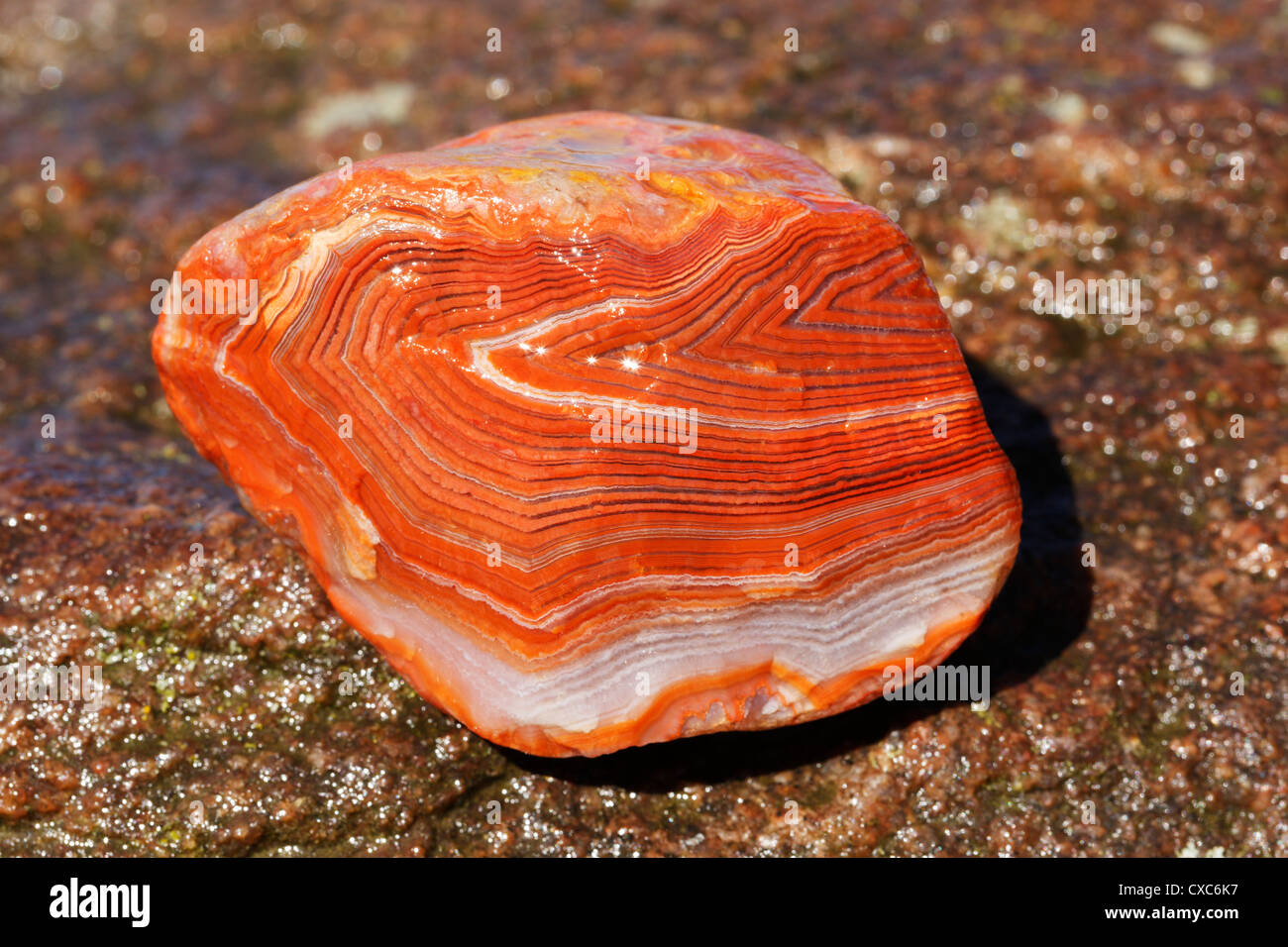 Macro view of banding on a Lake Superior agate.  Solid specimens like this can be valuable to collectors. Stock Photo
