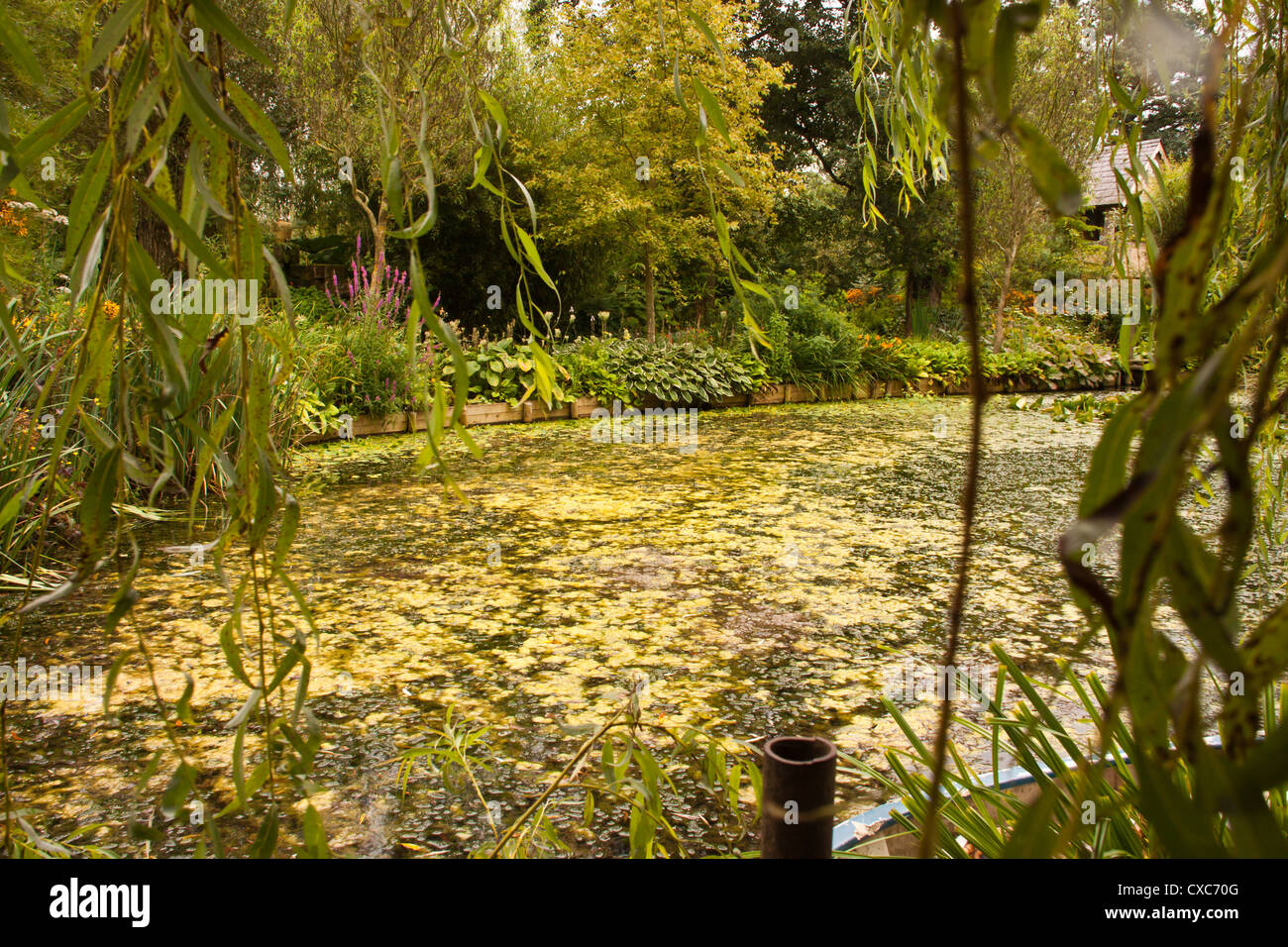 Westonbury Mill water gardens Pembridge Herefordshire England UK Stock