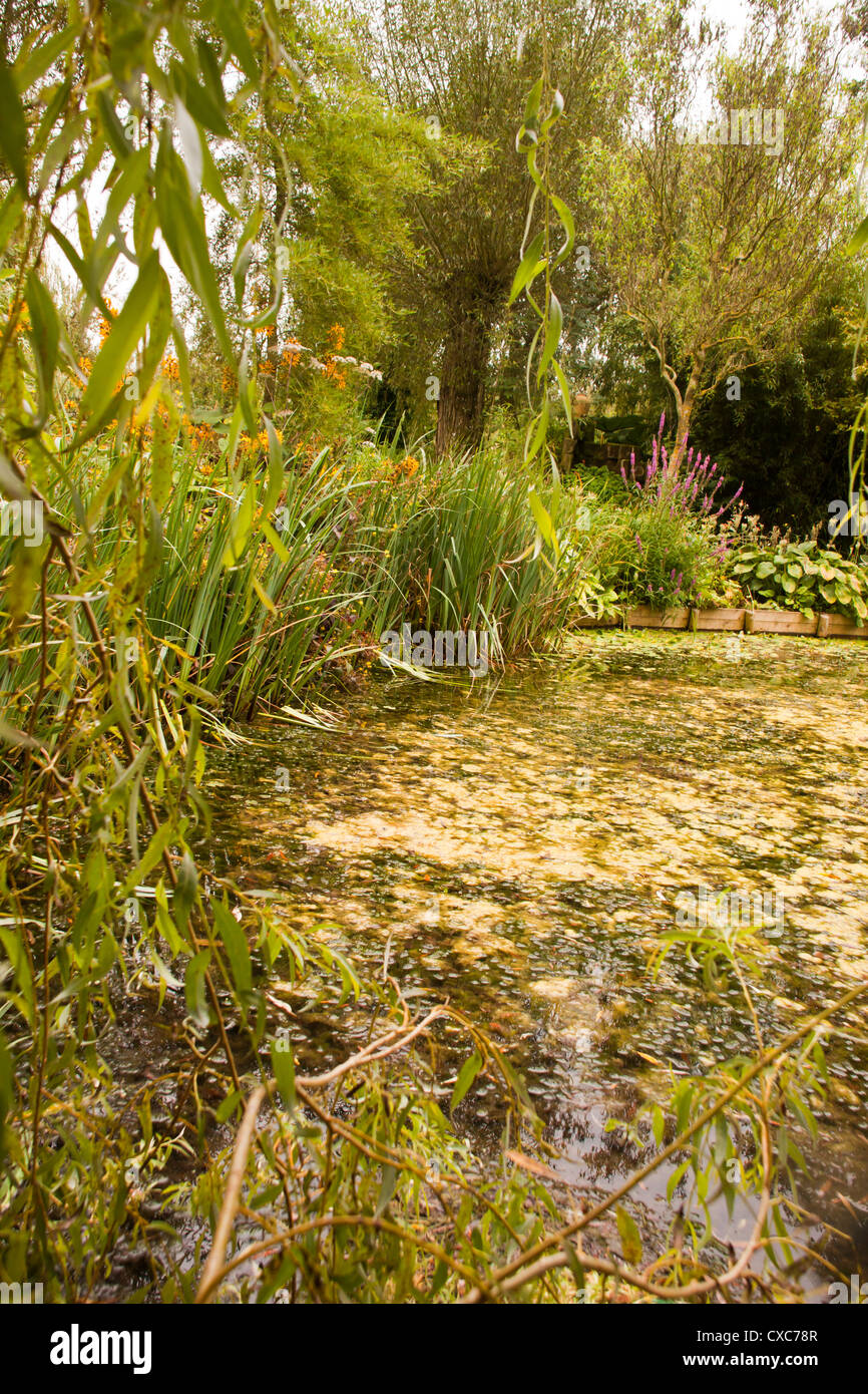 Westonbury Mill water gardens Pembridge Herefordshire England UK Stock