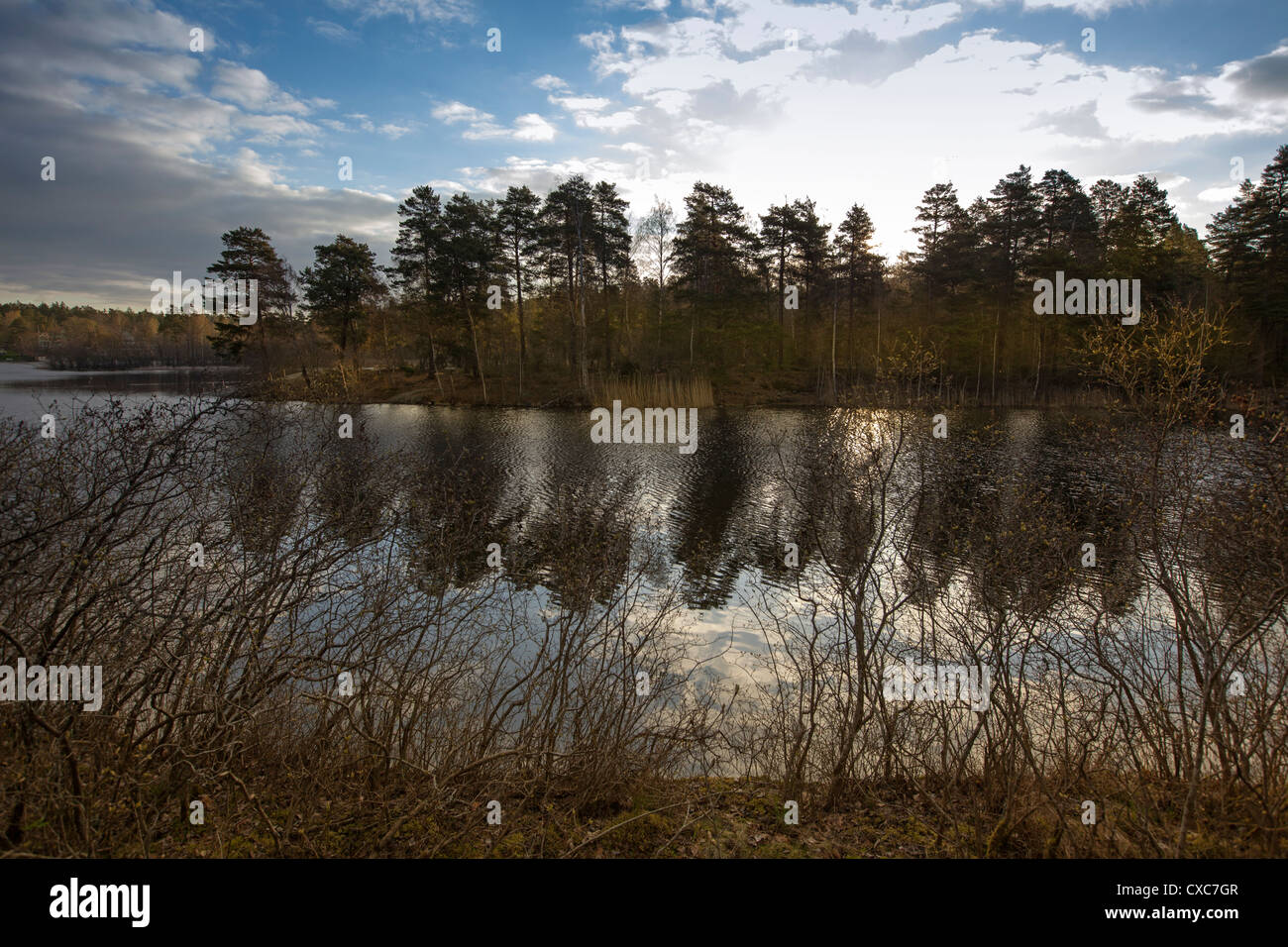Kottlasjön, Kottla lake, Lidingö (Sweden) Stock Photo