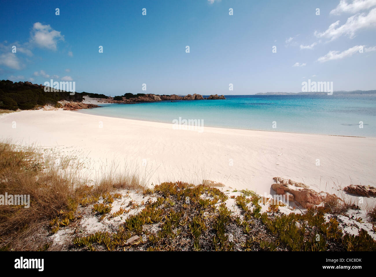 Spiaggia Rosa (Pink Beach) on the island of Budelli, Maddalena Islands, La  Maddalena National Park, Sardinia, Italy Stock Photo - Alamy