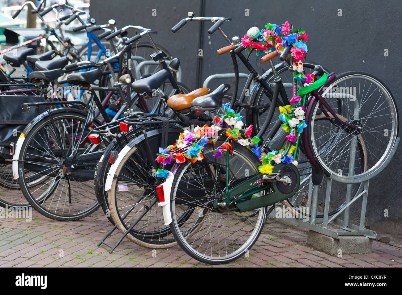 Amsterdam Flower decorated bicycle Amsterdam, Netherlands, Europe