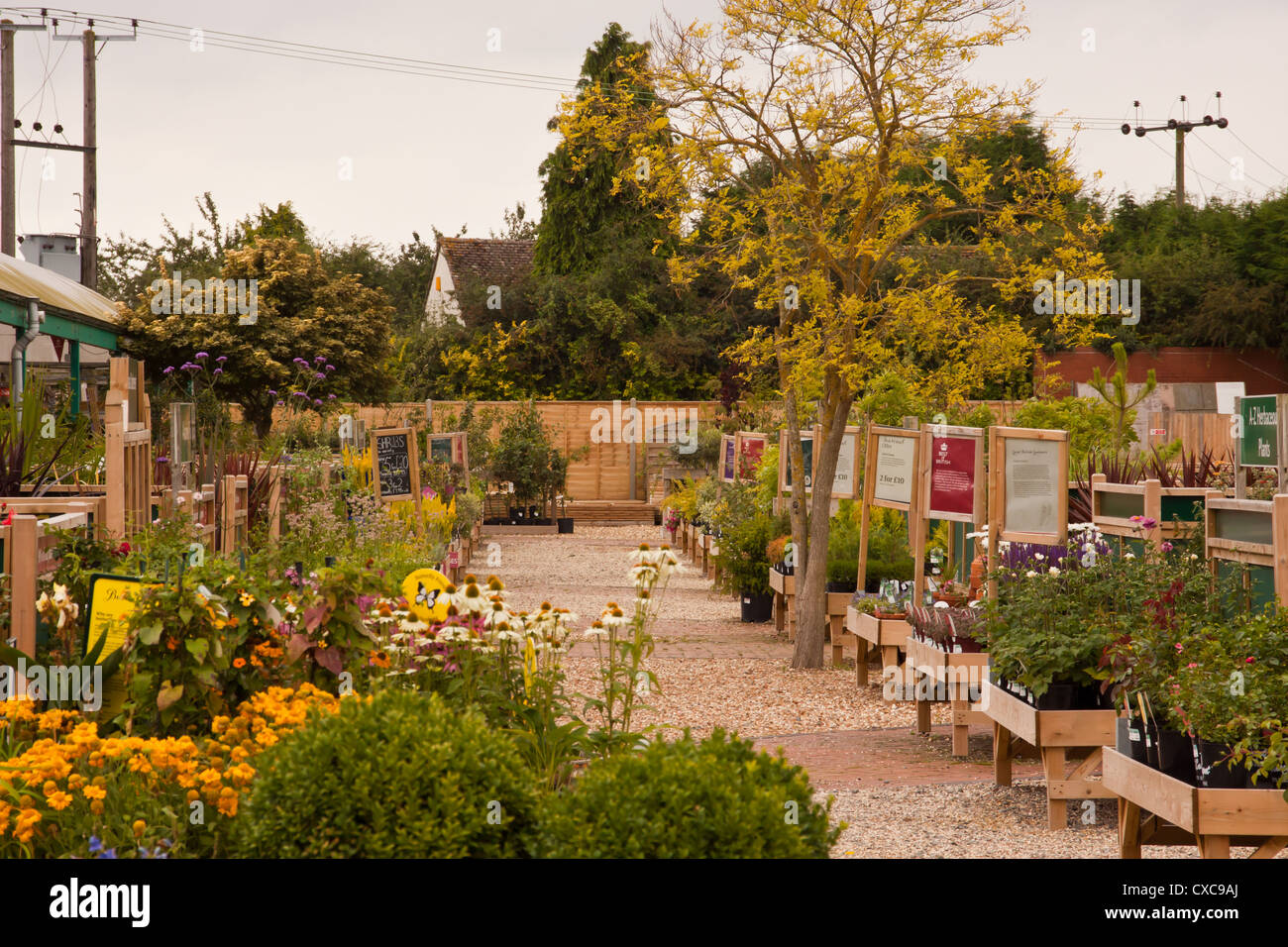 UK Garden center selling everything for the keen gardener, Hereford, UK Stock Photo Alamy