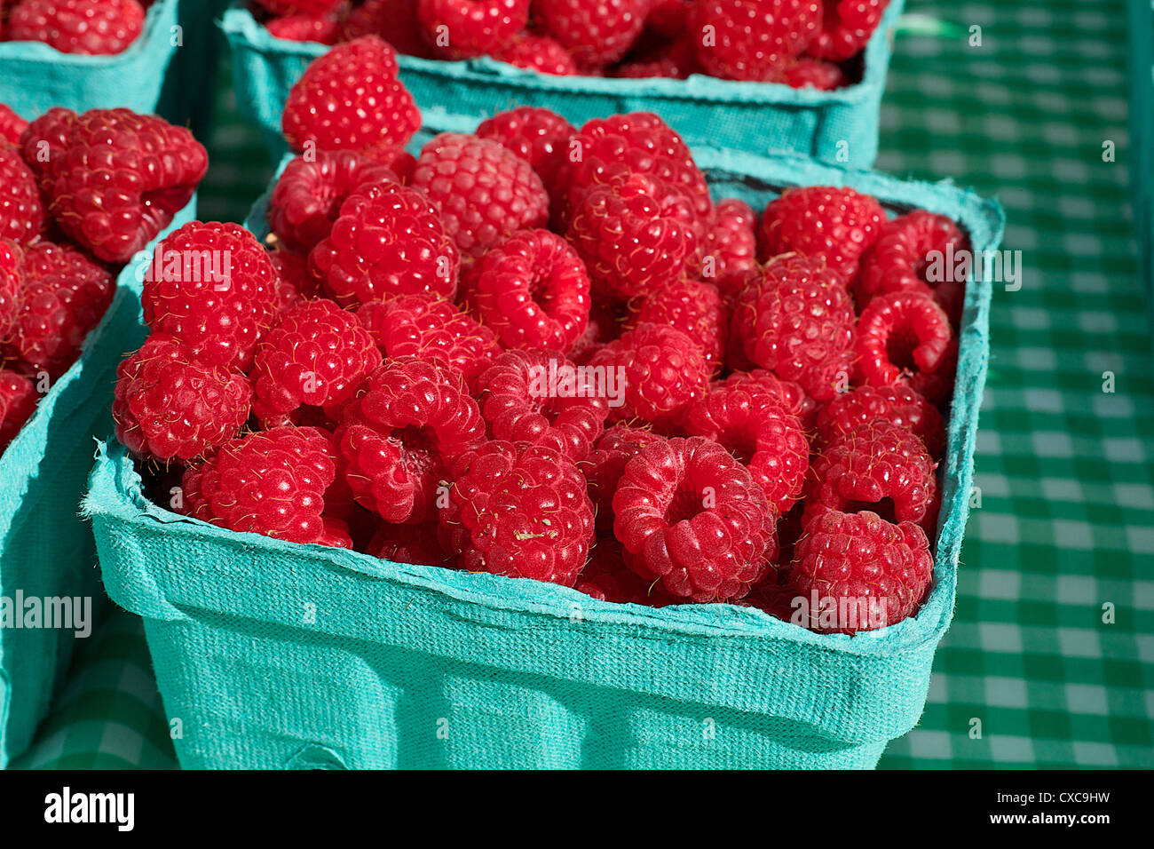 Blue container of a pile of Red Juicy Raspberries at the farmers market ...