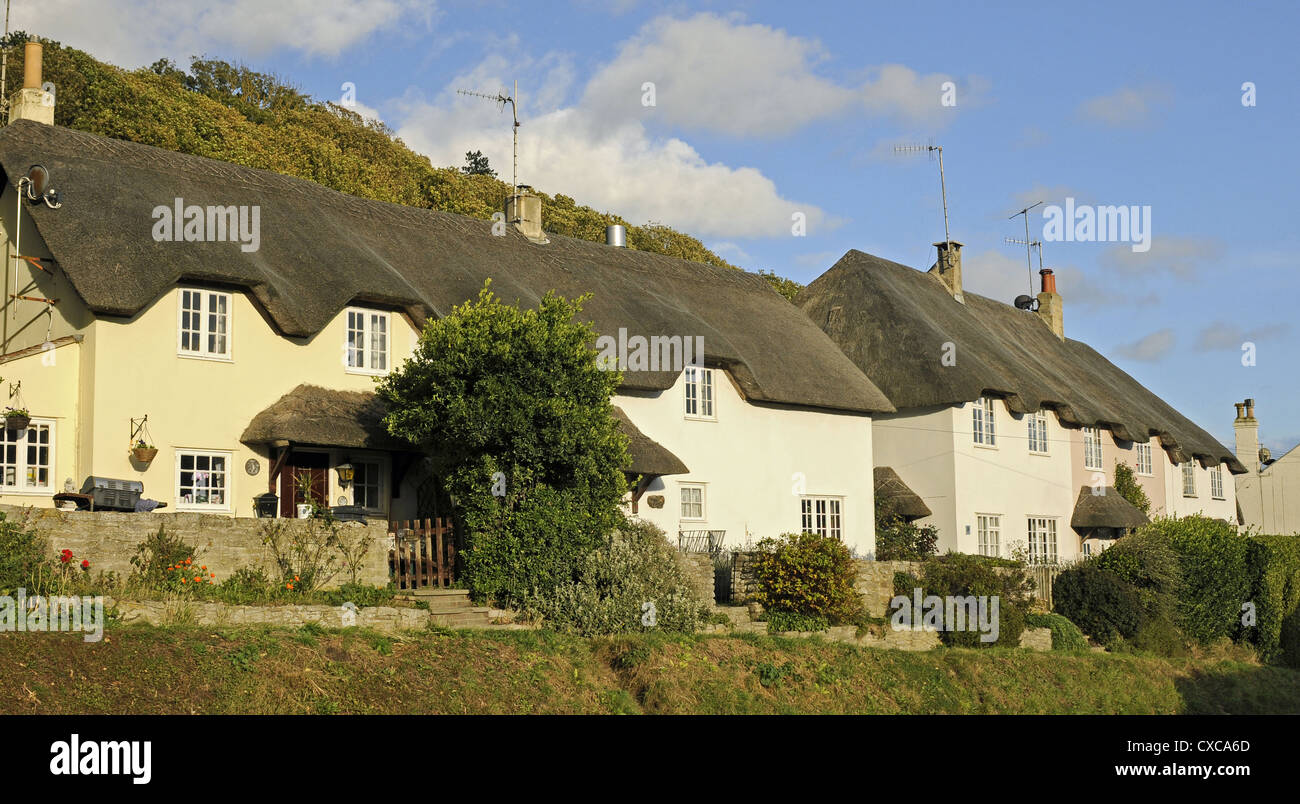 Thatched Cottages in the village of West Lulworth near Lulworth Cove Dorset England Stock Photo