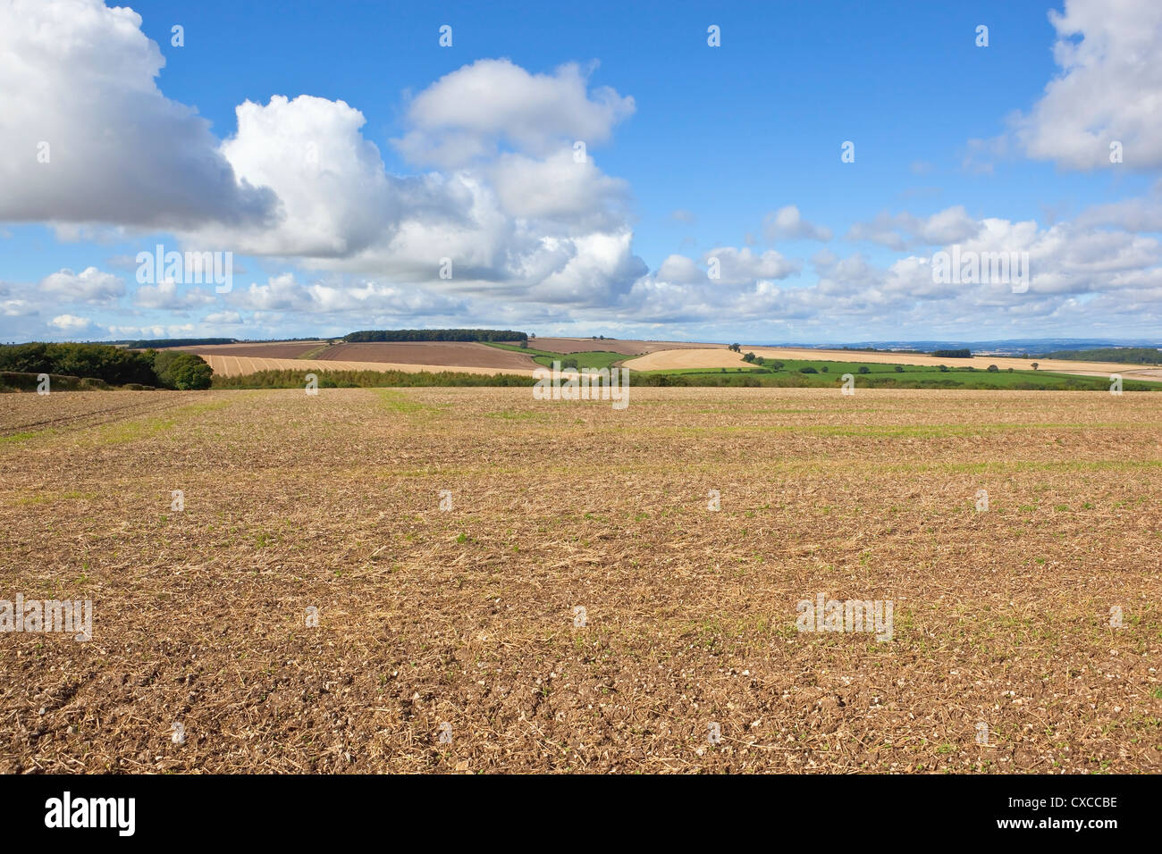 An Autumn landscape with the rolling farmland of the Yorkshire wolds viewed across a cultivated field Stock Photo