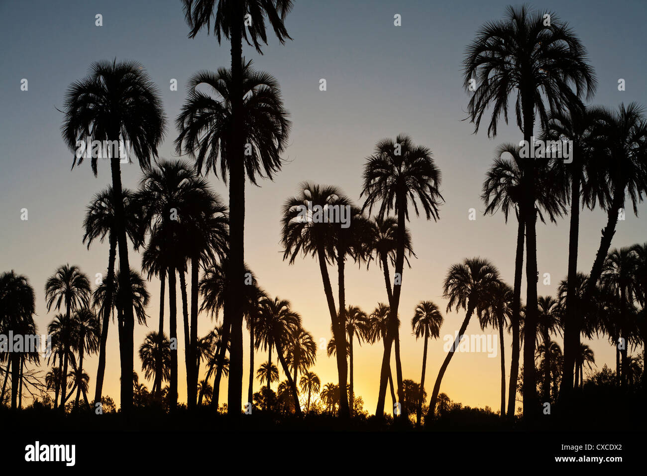 Parque Nacional El Palmar, Entre Rios Province, Argentina. Stock Photo