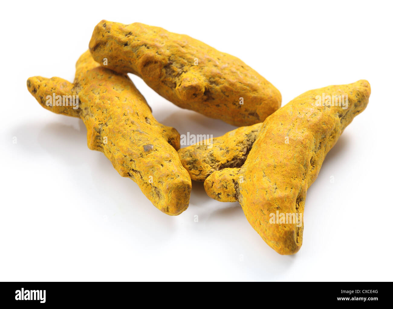 Root rhizome Cut Out Stock Images & Pictures Alamy