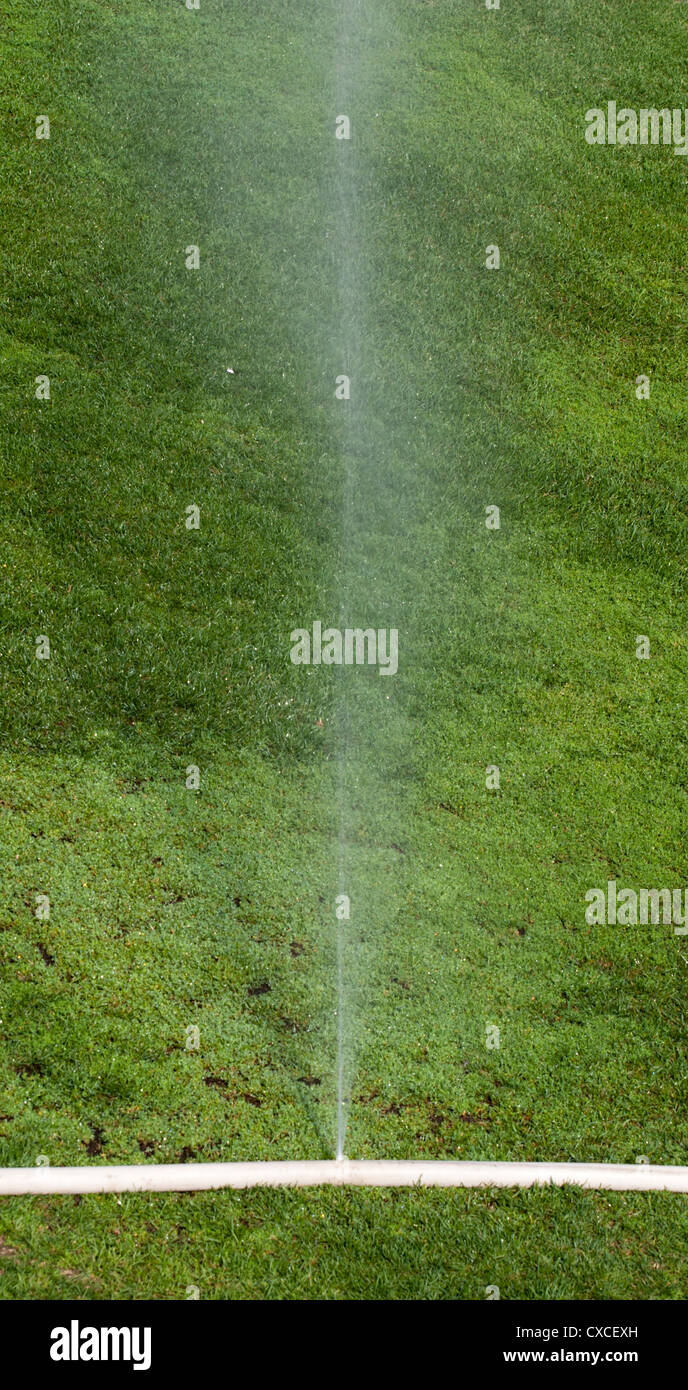 Leaking water hose Stock Photo Alamy