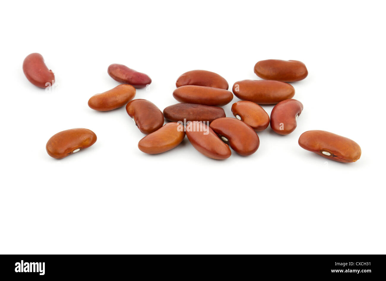 Bunch of red brown kidney beans isolated on white background with copy
