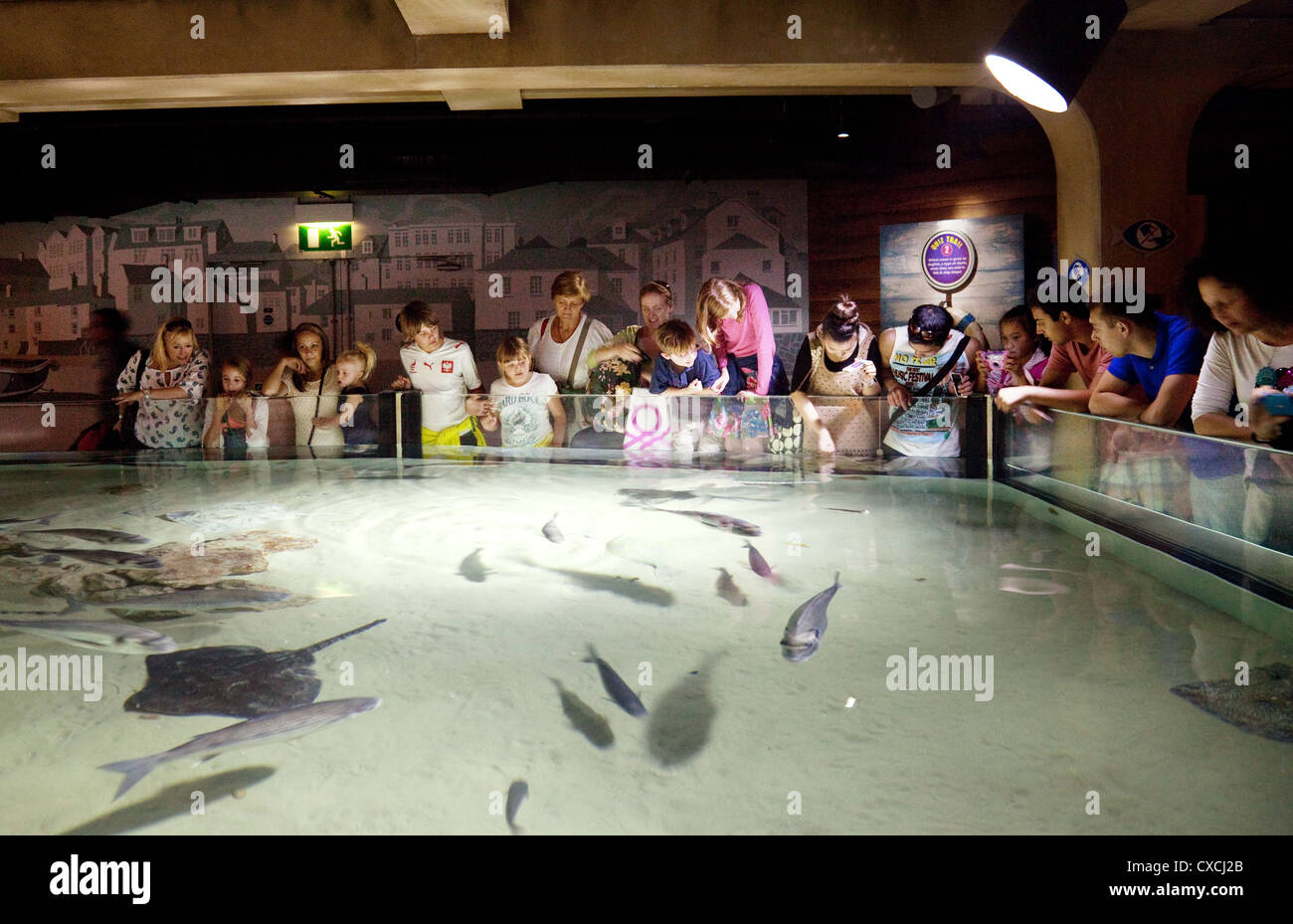 Families with children looking at fish, the London Aquarium, London South Bank UK Stock Photo