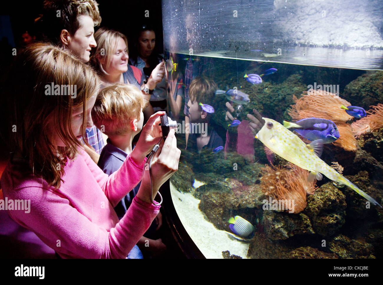 Children looking at fish, Sea life centre, the Sea Life London Aquarium