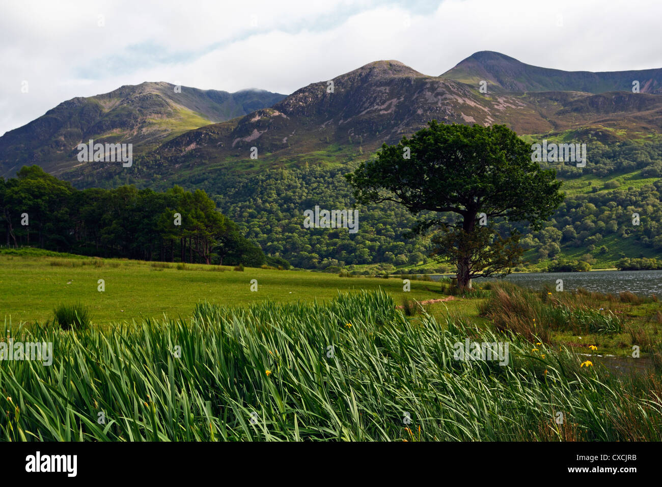 The High Stile Range from Crummock Water in the Lake District National Park, Cumbria. Stock Photo