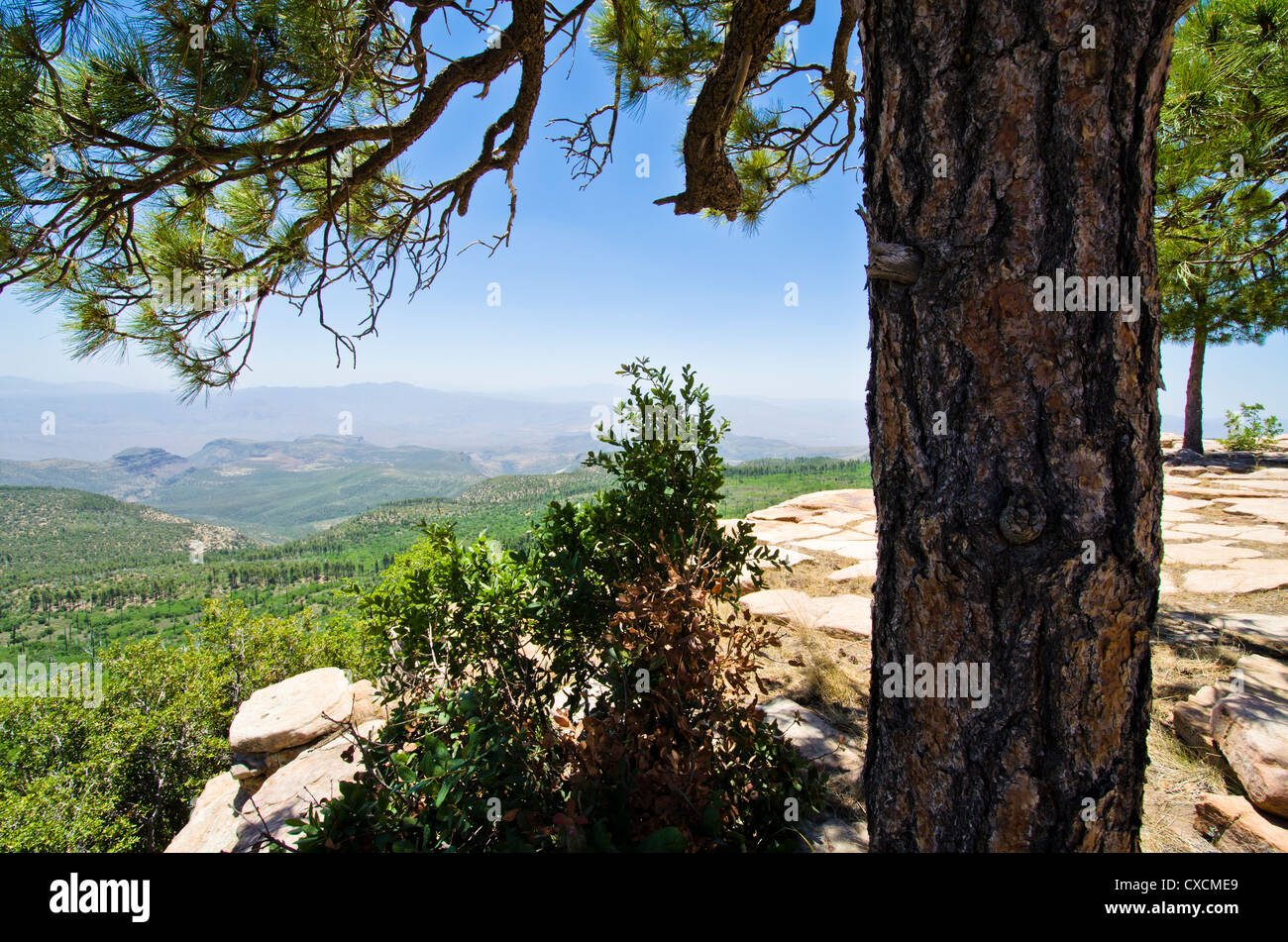 View from Aztec Peak in the Sierra Ancha Mountains south of the town of ...