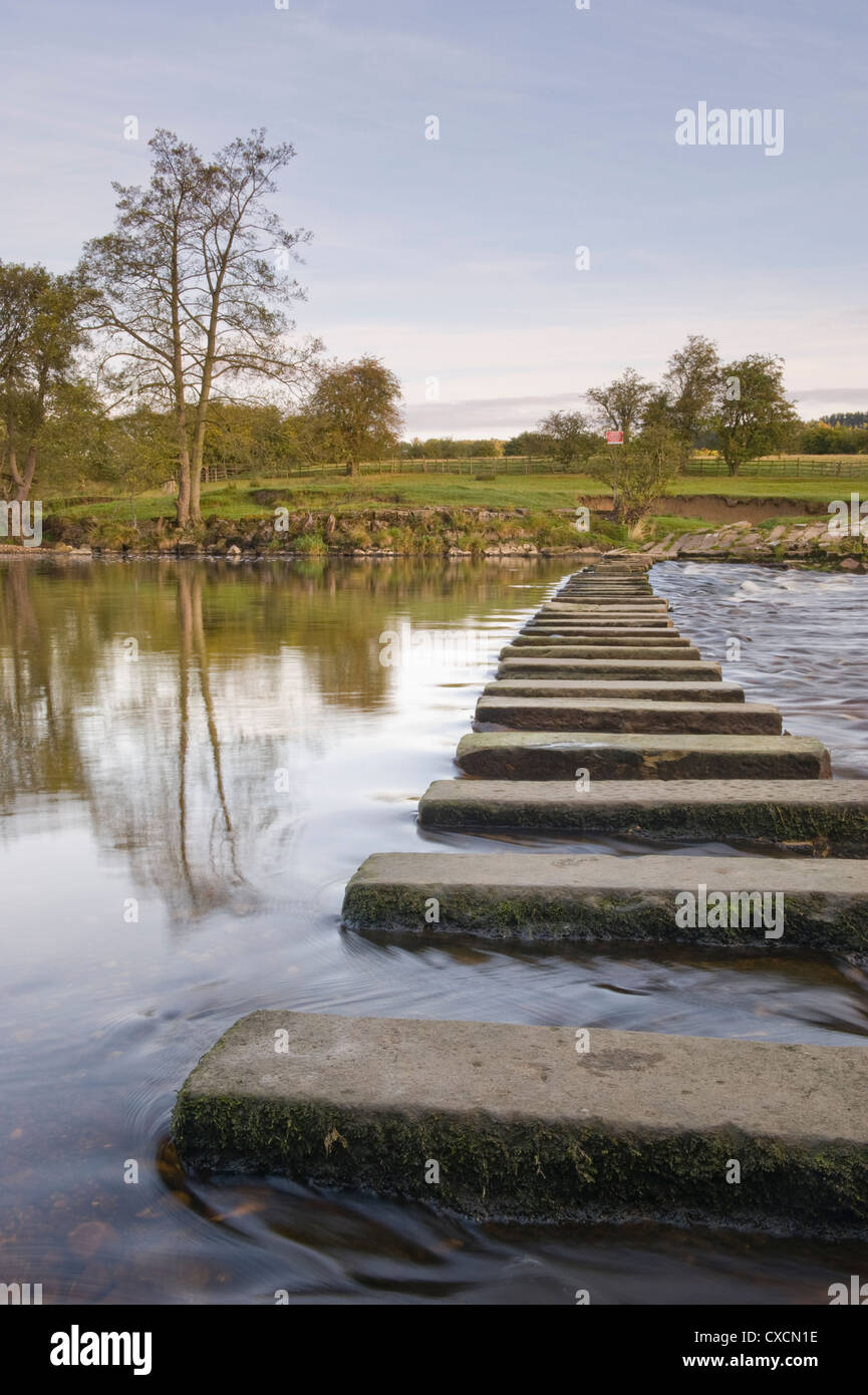 Low viewpoint close-up of calm water flowing round stepping stones crossing scenic river - River Wharfe, Burley in Wharfedale, Yorkshire, England, UK. Stock Photo