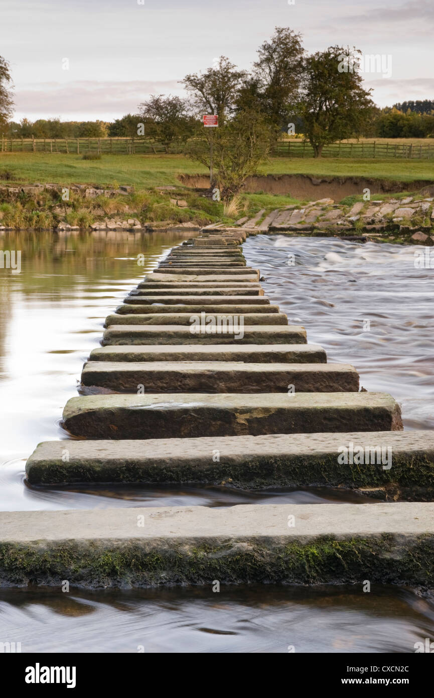 Low viewpoint close-up of calm water flowing round stepping stones crossing scenic river - River Wharfe, Burley in Wharfedale, Yorkshire, England, UK. Stock Photo
