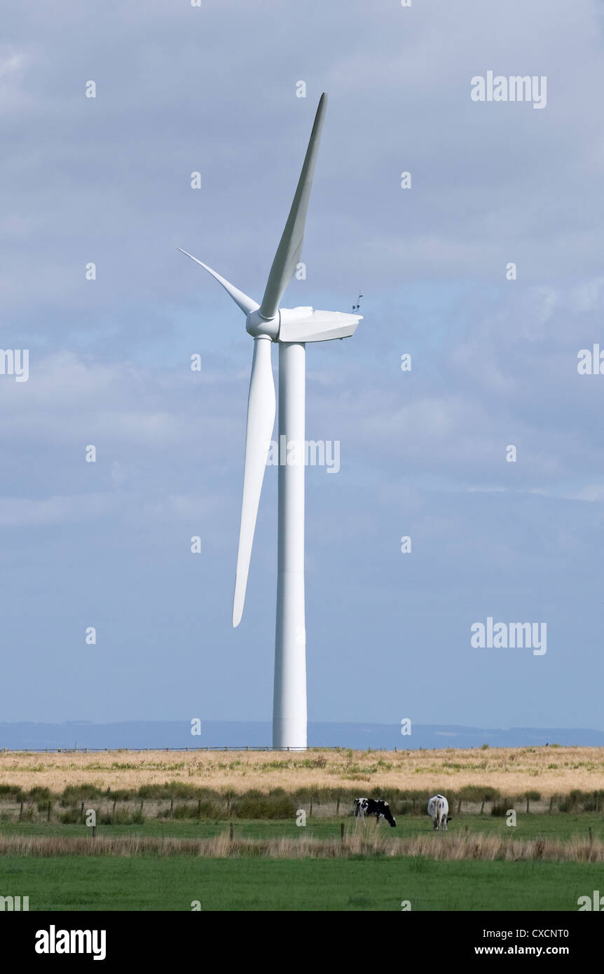 1 giant wind turbine (eyesore) towers over farmland fields in scenic countryside - Knabs Ridge onshore wind farm, Harrogate, North Yorkshire, England. Stock Photo