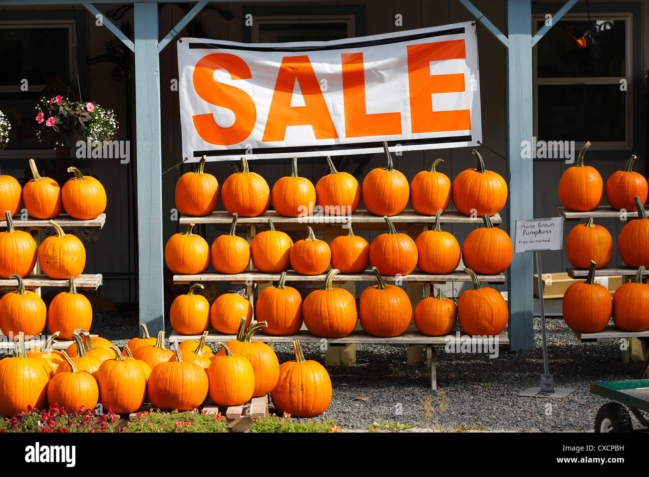Roadside stand, pumpkins Stock Photo