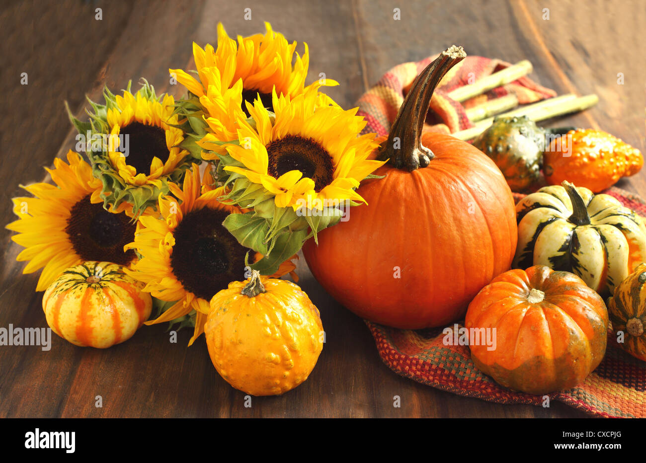 Autumn pumpkins and sunflowers Stock Photo - Alamy