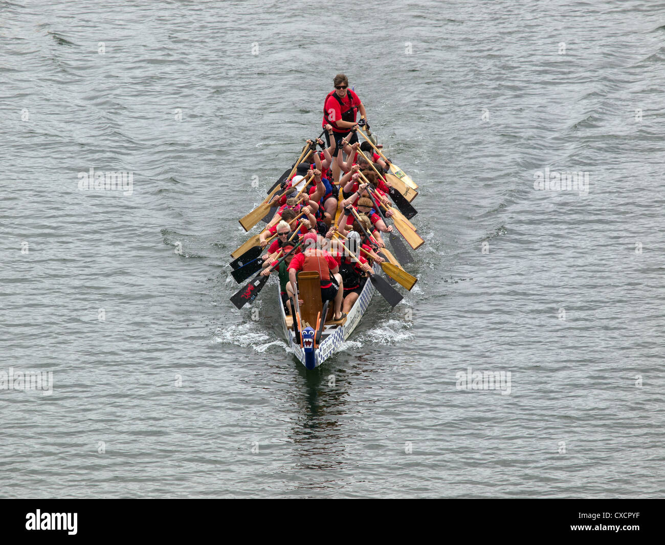 Stock photo of of dragon boats at the fall Dragon Boat Races in Portland Oregon. Stock Photo