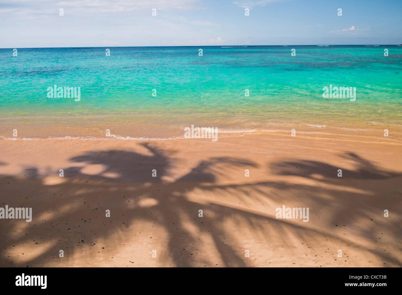 Palm tree shadows on Lanikai Beach, Kailua Bay, Oahu, Hawaii Stock