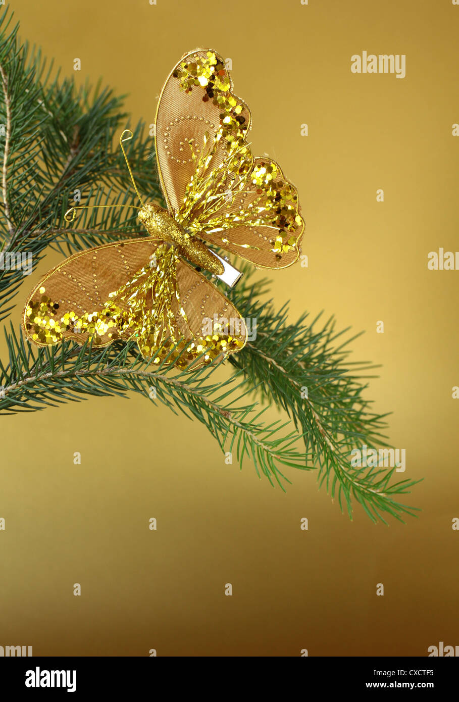 Christmas decoration (golden butterfly) on the branches of fir Stock Photo