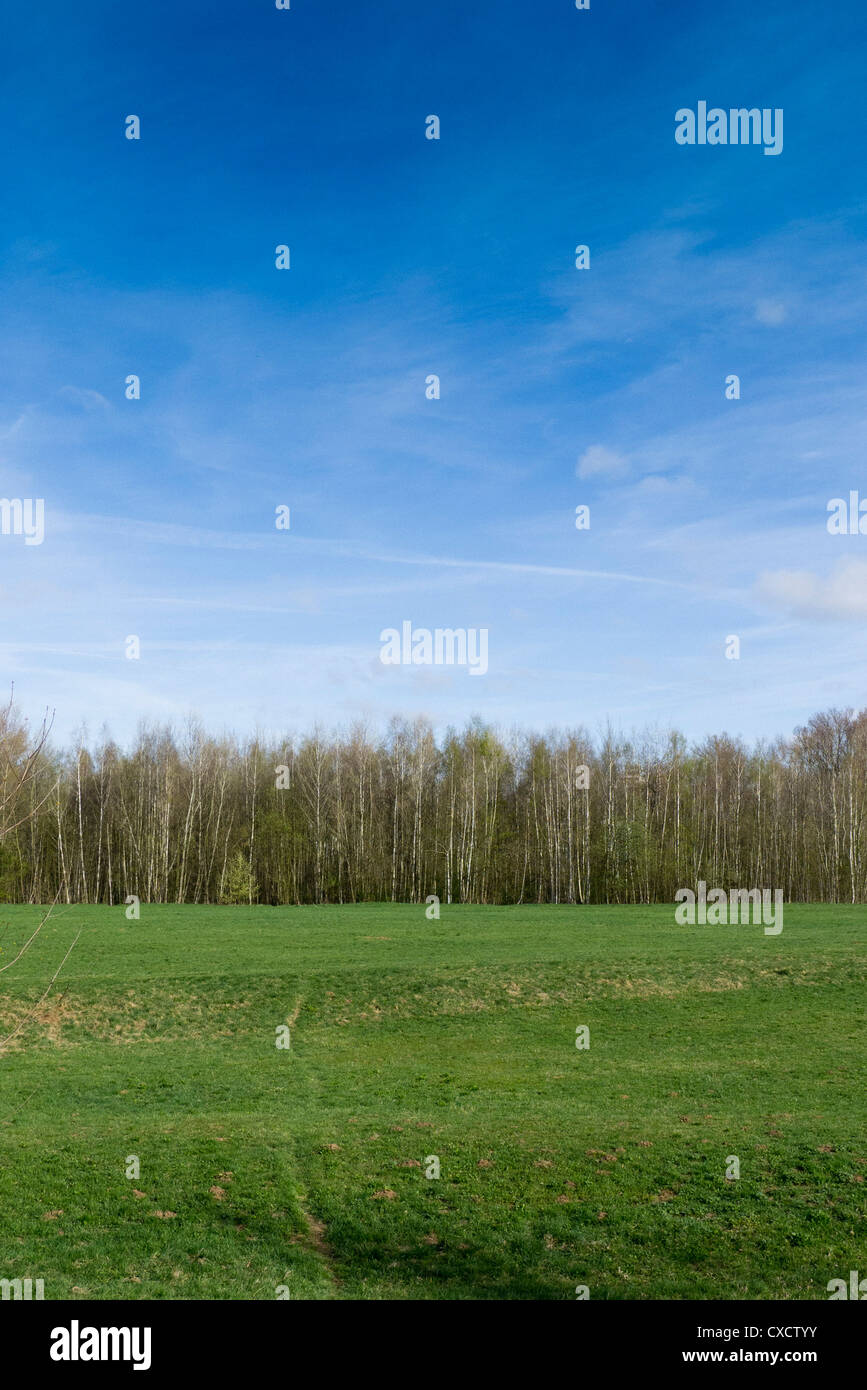 a meadow and trees in spring Stock Photo - Alamy