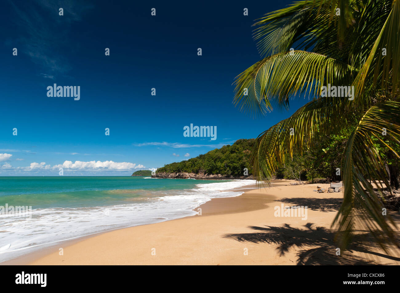 La Perle Beach, Deshaies, Basse-Terre, Guadeloupe, French Caribbean, France, West Indies, Central America Stock Photo
