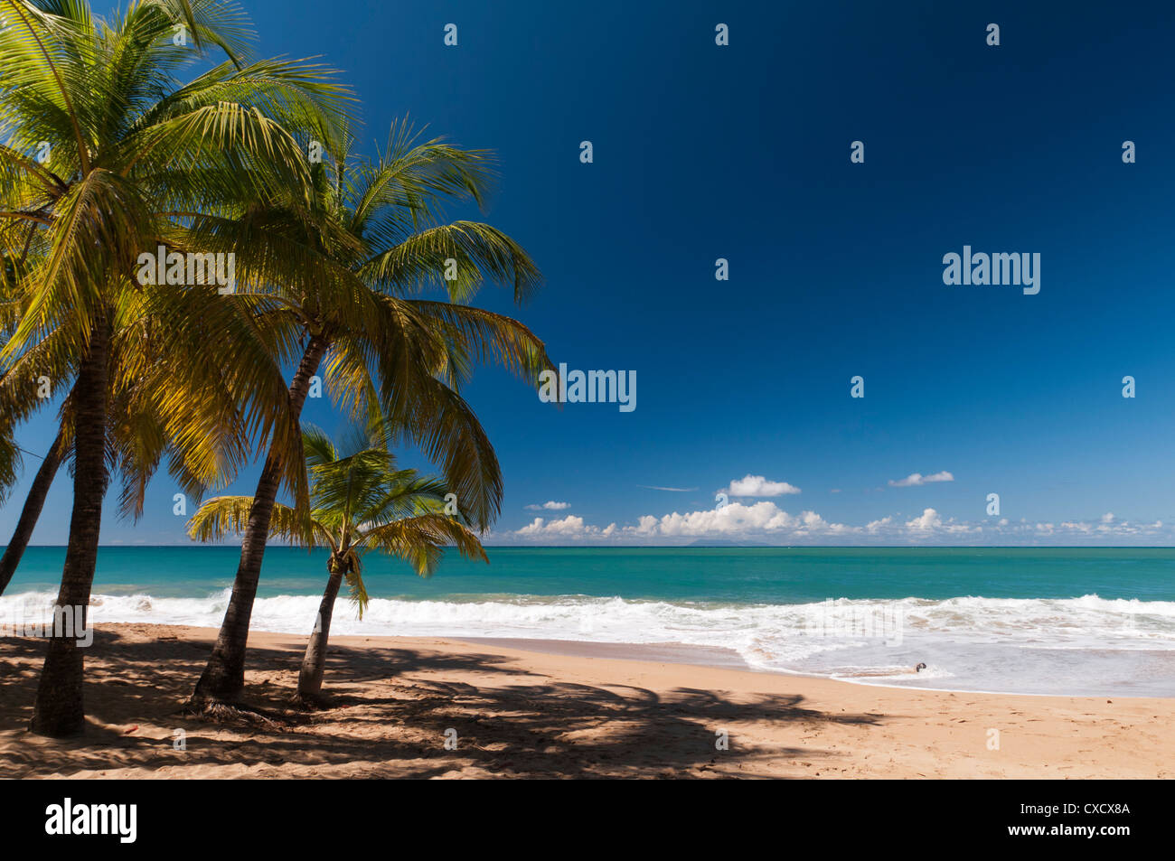 La Perle Beach Deshaies Basse Terre Guadeloupe French