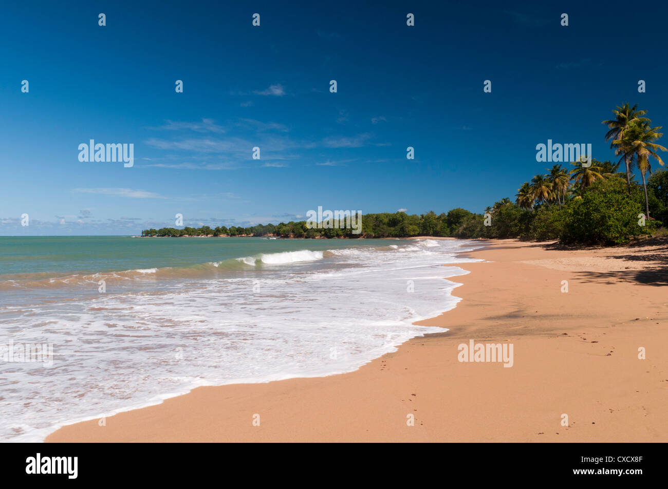 Cluny Beach Deshaies Basse Terre Guadeloupe French