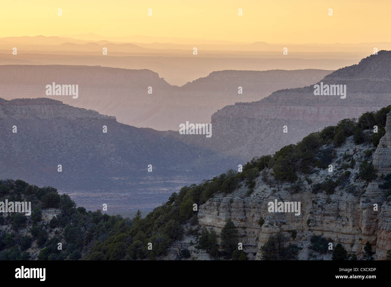 Locust point hires stock photography and images Alamy