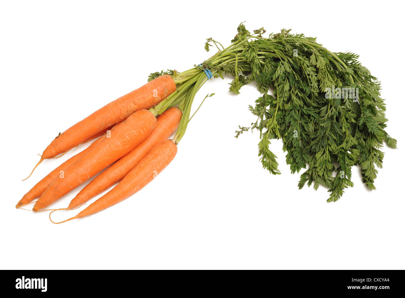 carrots with tops isolated on white Stock Photo