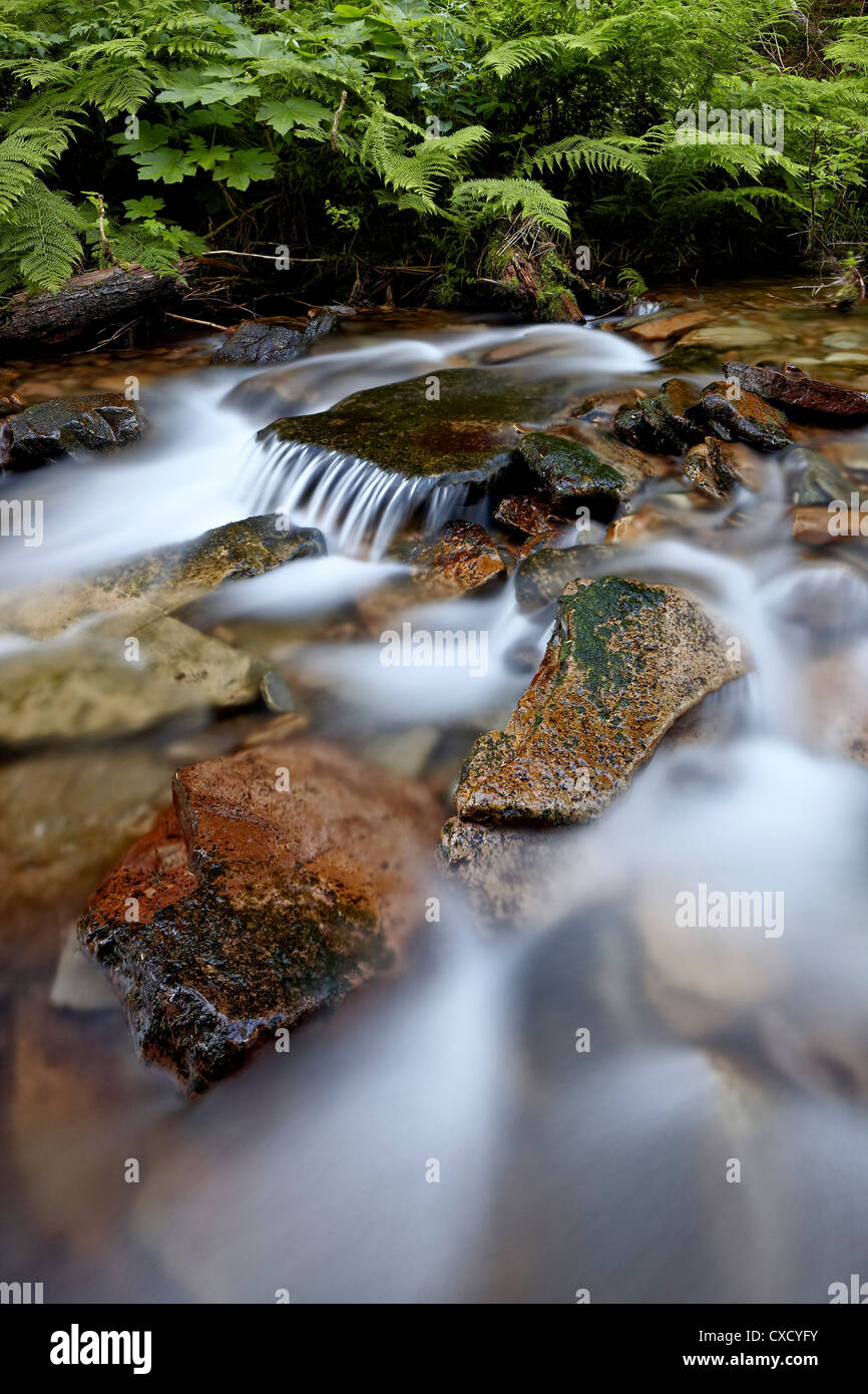 Cascades on Yellow Dog Creek, Coeur d'Alene National Forest, Idaho Panhandle National Forests, Idaho, United States of America Stock Photo