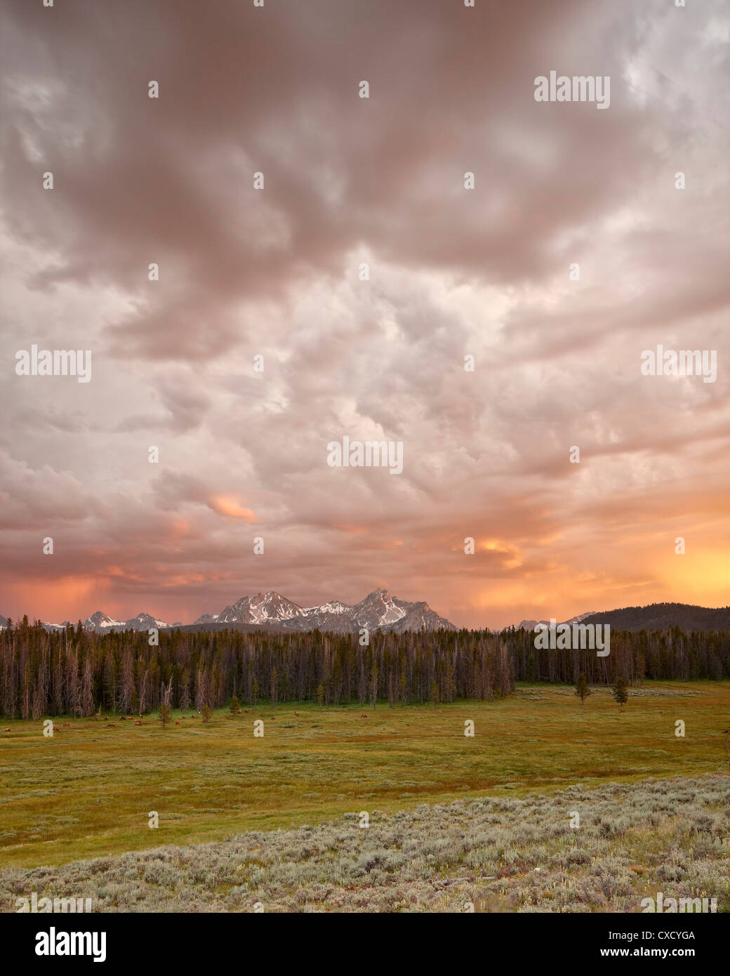 Orange clouds at sunset over The Sawtooth Mountains, Sawtooth National Recreation Area, Idaho, United States of America Stock Photo