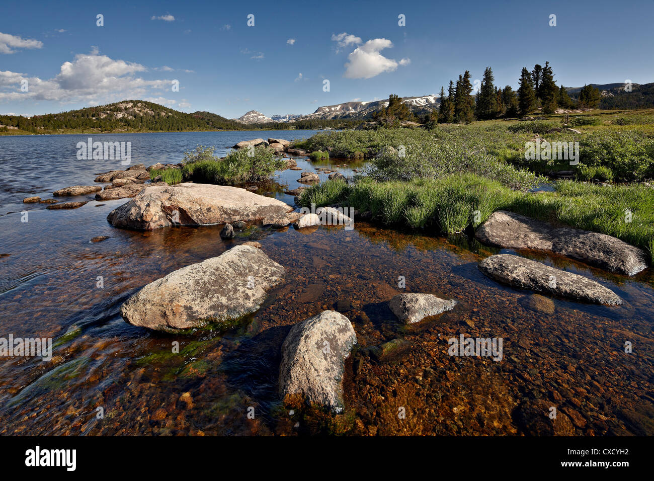 Island Lake, Shoshone National Forest, Wyoming, United States of America, North America Stock Photo