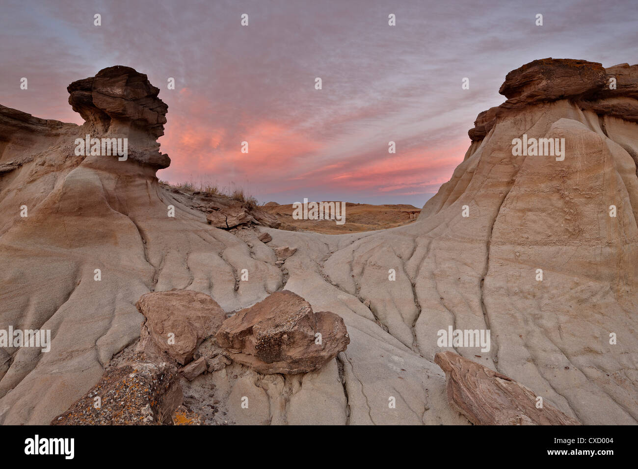 Badlands, Dinosaur Provincial Park, UNESCO World Heritage Site, Alberta, Canada, North America Stock Photo