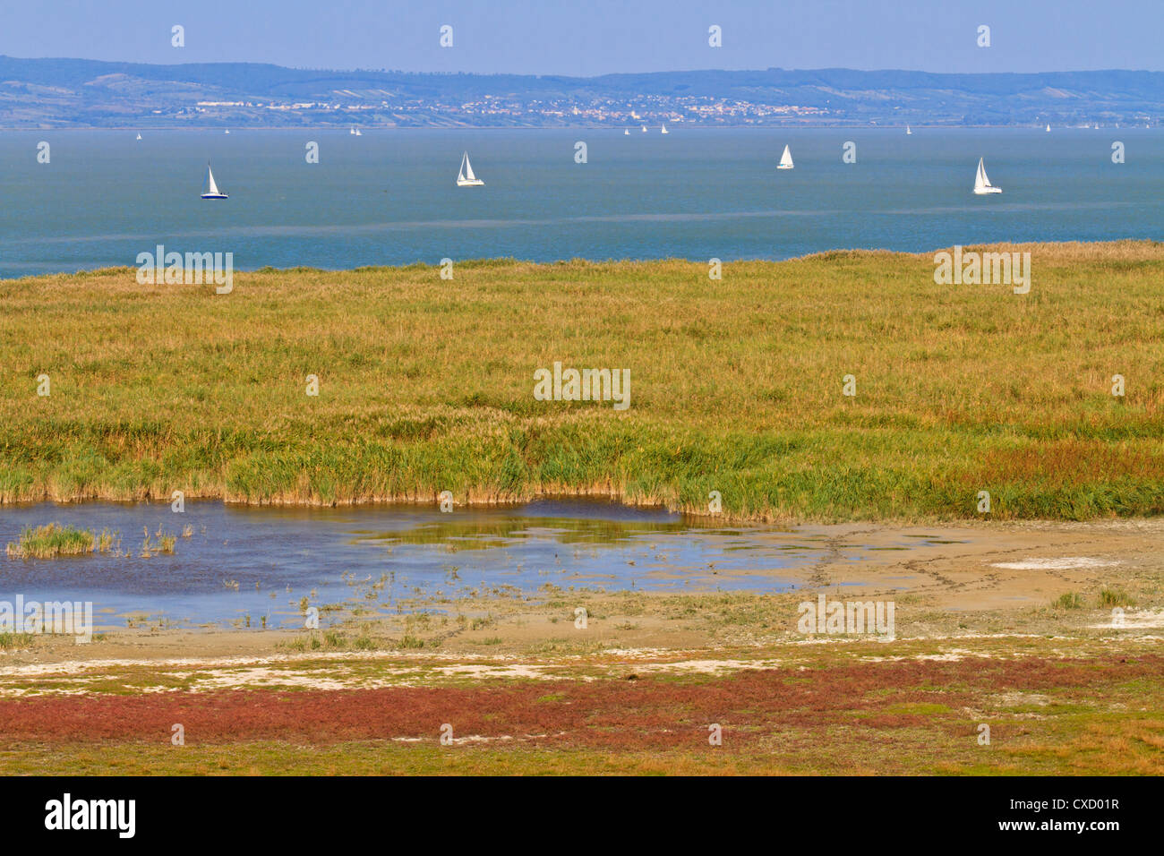 Reed Belt Landscape in National Park (Lake Neusiedl / Seewinkel), Austro-Hungarian Border Stock Photo