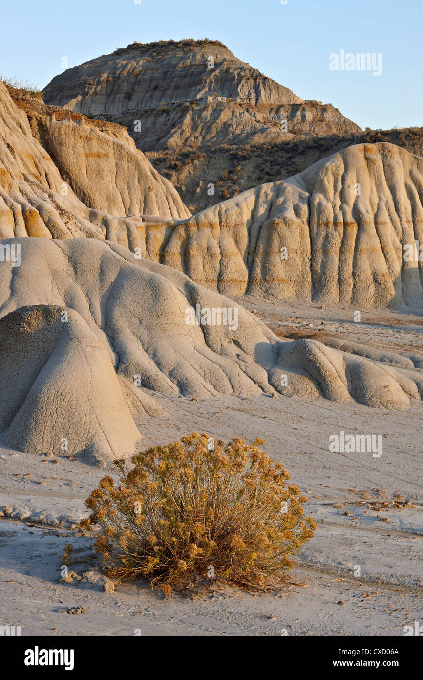 Badlands, Theodore Roosevelt National Park, North Dakota, United States of America, North America Stock Photo