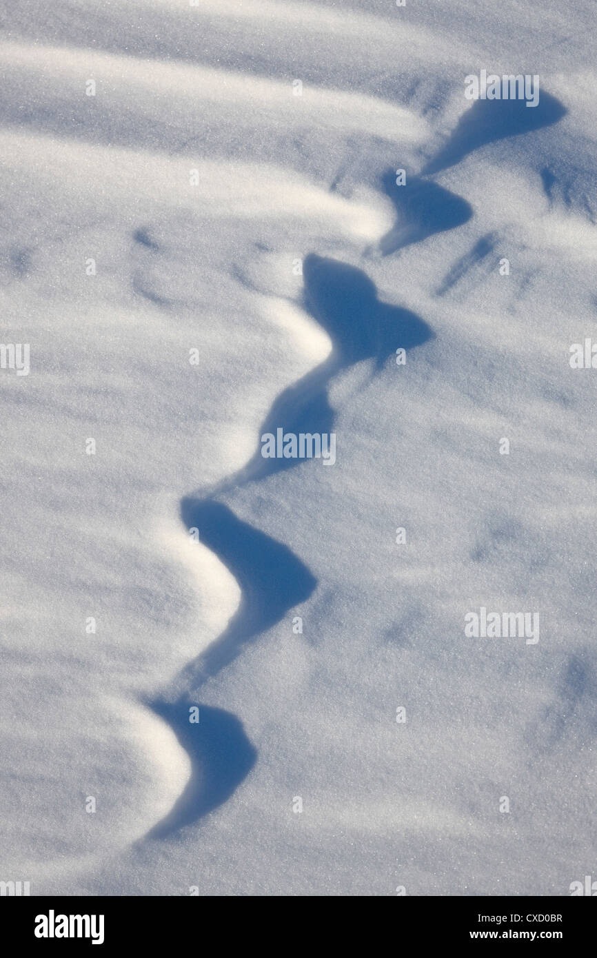 Snow forms, Bosque del Apache National Wildlife Refuge, New Mexico, United States of America, North America Stock Photo