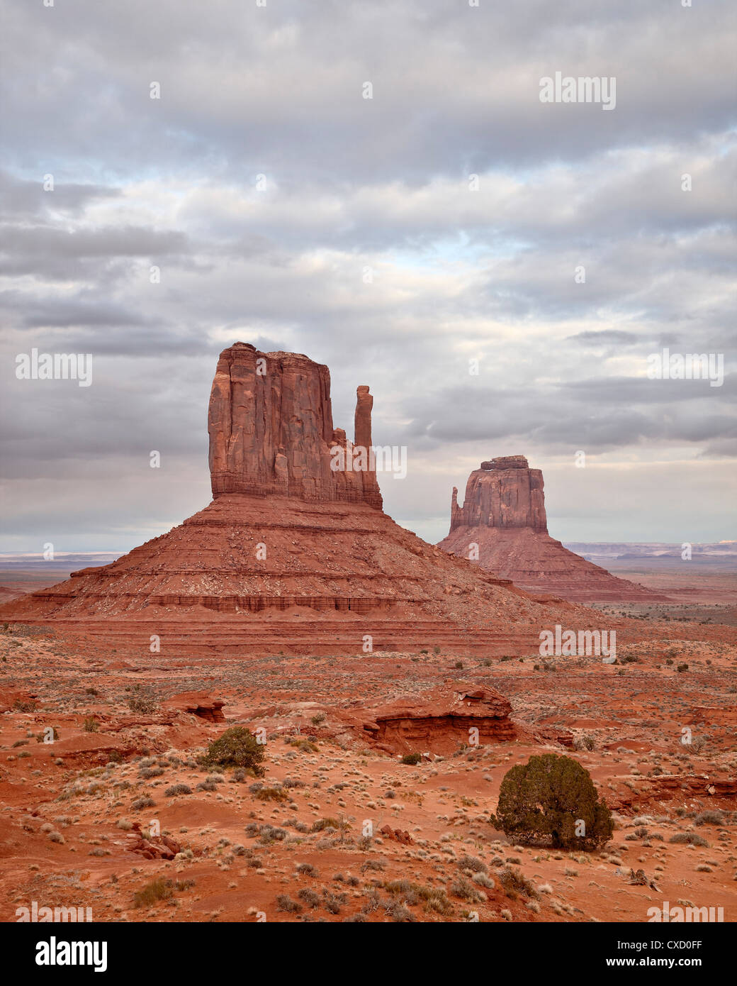 The Mittens, Monument Valley Navajo Tribal Park, Arizona, United States of America, North America Stock Photo