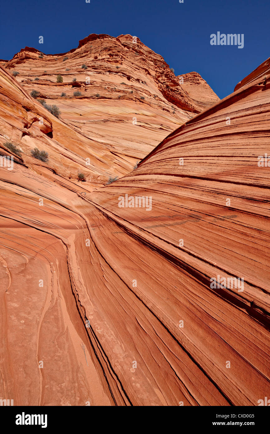 The Mini Wave Formation Coyote Buttes Wilderness Vermillion Cliffs