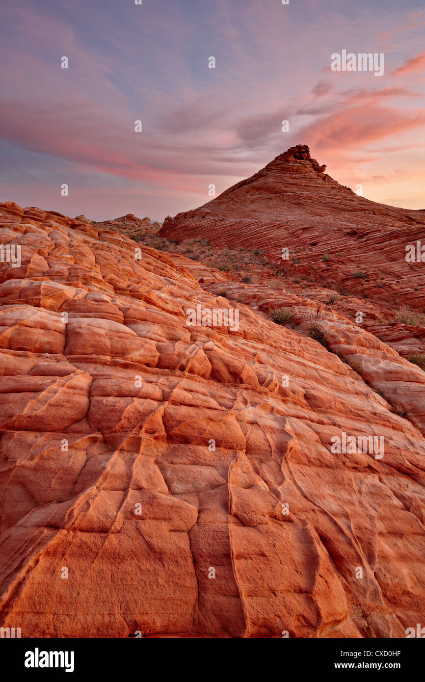 Wavy orange and white sandstone at sunrise, Valley Of Fire State Park, Nevada, United States of America, North America Stock Photo