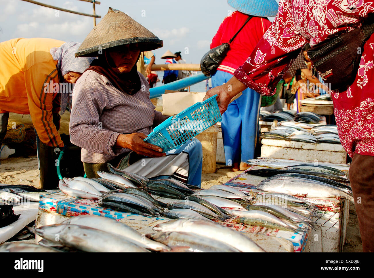 Fish Market in Bali Stock Photo Alamy