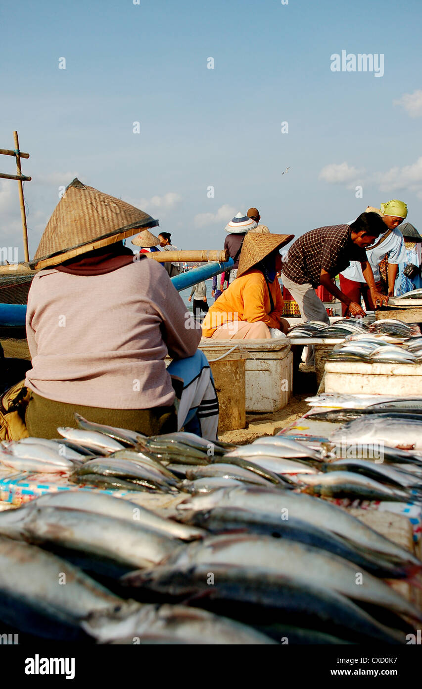 Fish Market in Bali Stock Photo Alamy