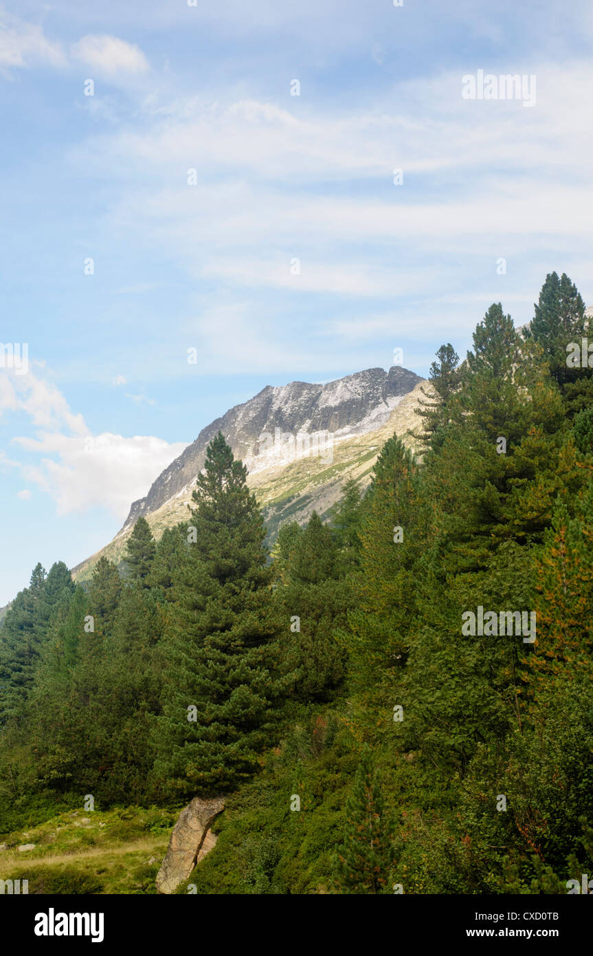 Austria, Zillertal High Alpine nature Park Hochgebirgs Naturpark near Ginzling, Tyrol Stock Photo