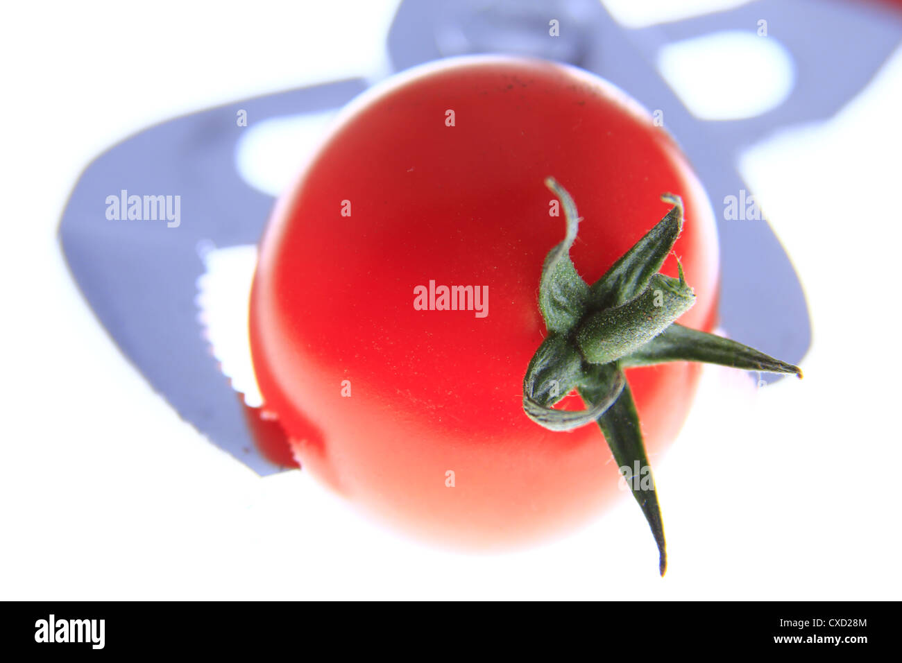 Tomato in the forceps Stock Photo