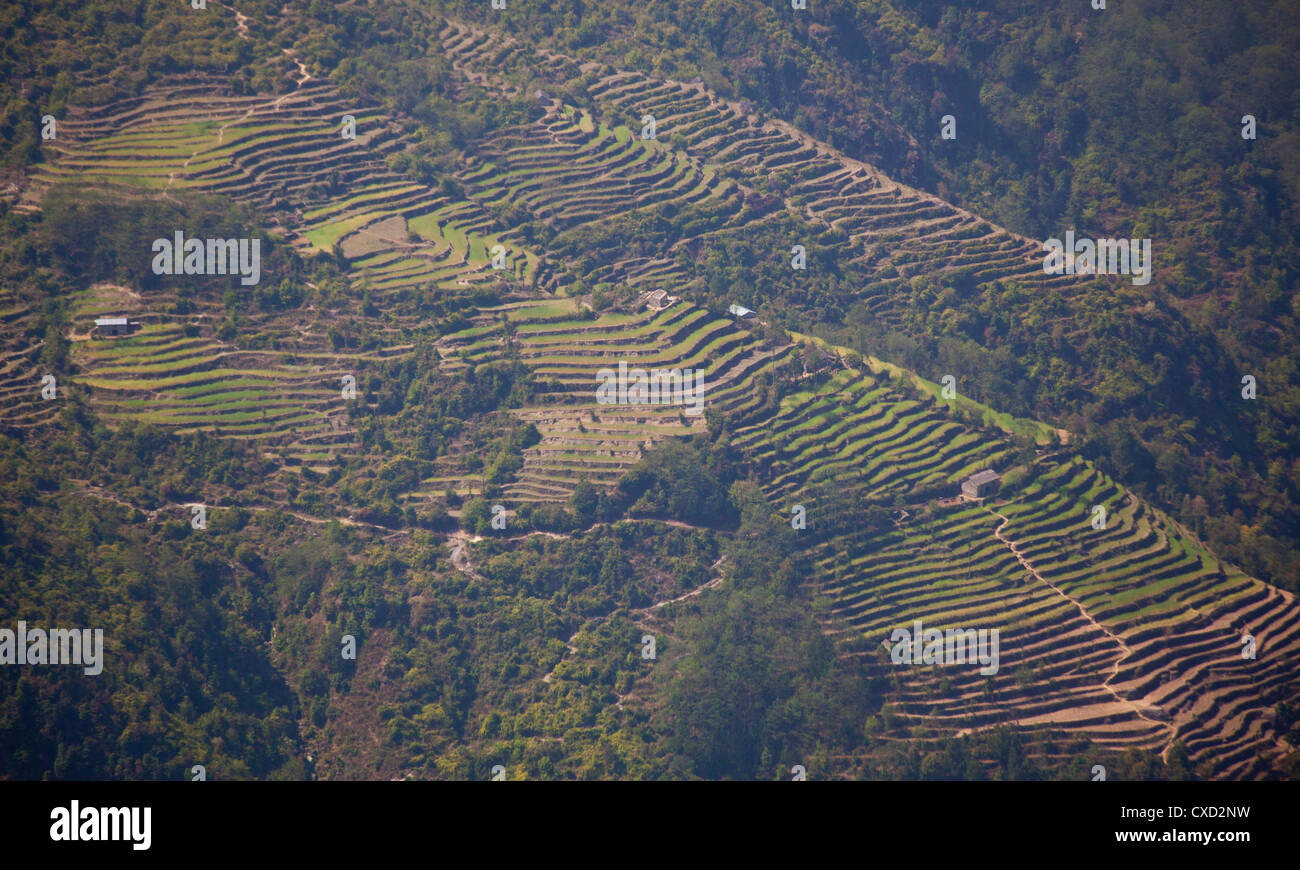 Terraced farming on the foothills of the Himalayas, Helambu region, Nepal Stock Photo